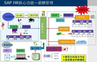 SAP HR 企業(yè)人力資源管理的數(shù)字化核心
